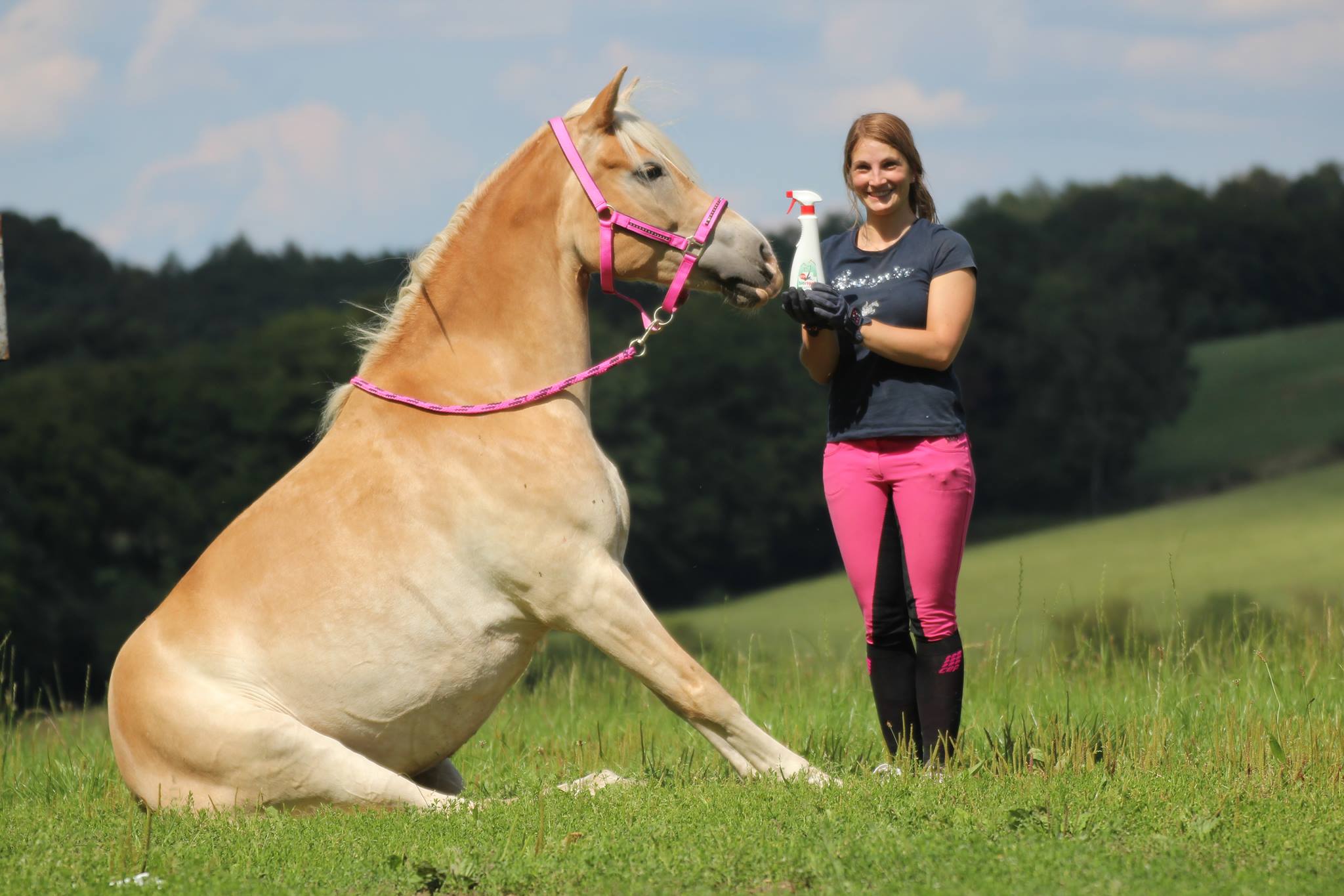 Biorepell Pferd Erfahrungen